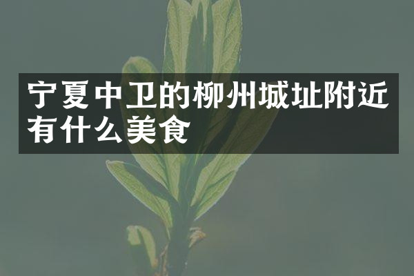 宁夏中卫的柳州城址附近有什么美食