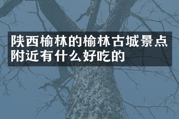 陕西榆林的榆林古城景点附近有什么好吃的