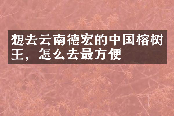 想去云南德宏的中国榕树王，怎么去最方便