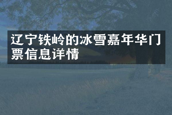 辽宁铁岭的冰雪嘉年华门票信息详情