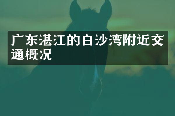 广东湛江的白沙湾附近交通概况