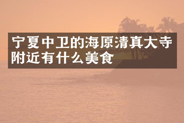 宁夏中卫的海原清真大寺附近有什么美食