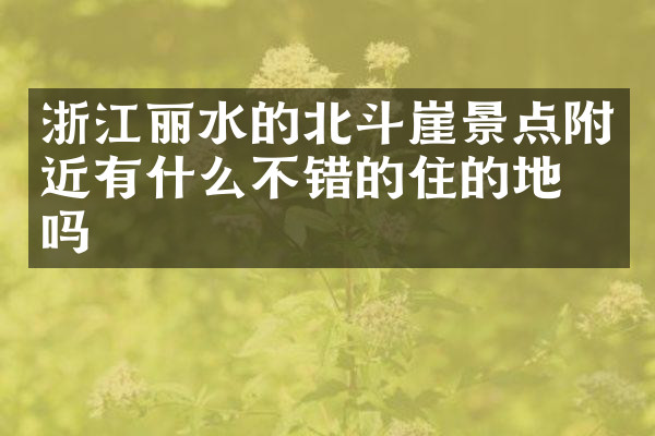 浙江丽水的北斗崖景点附近有什么不错的住的地方吗