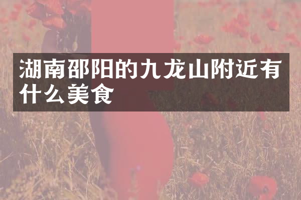 湖南邵阳的九龙山附近有什么美食