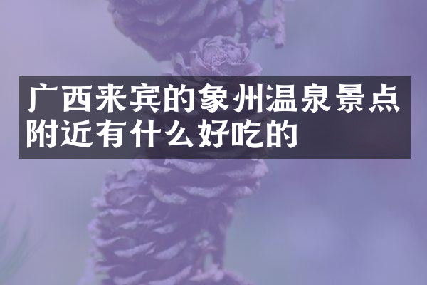 广西来宾的象州温泉景点附近有什么好吃的