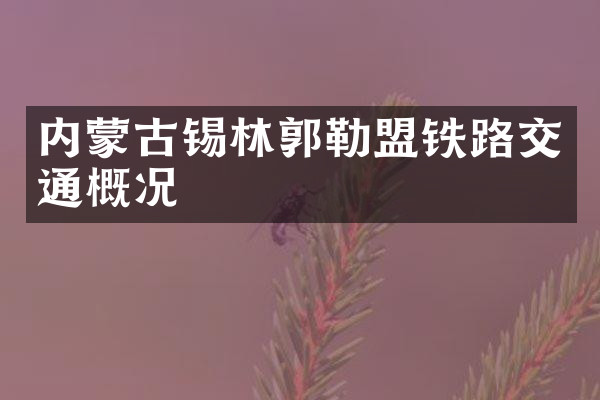 内蒙古锡林郭勒盟铁路交通概况