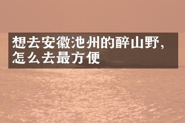 想去安徽池州的醉山野，怎么去最方便