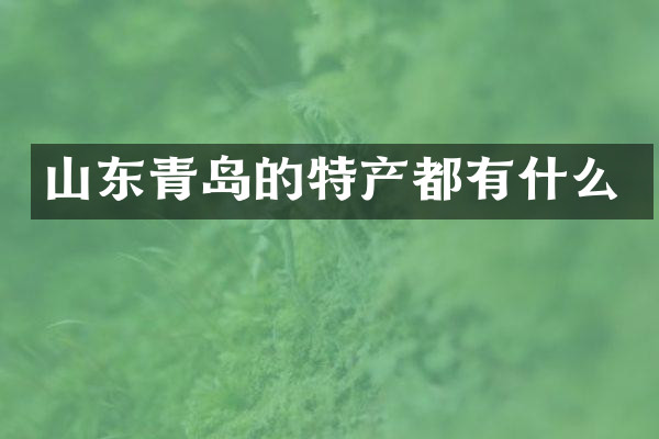 山东青岛的特产都有什么