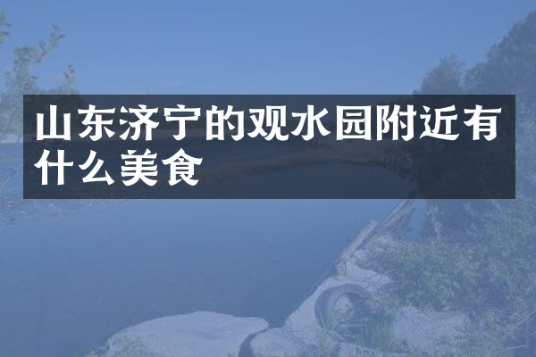 山东济宁的观水园附近有什么美食