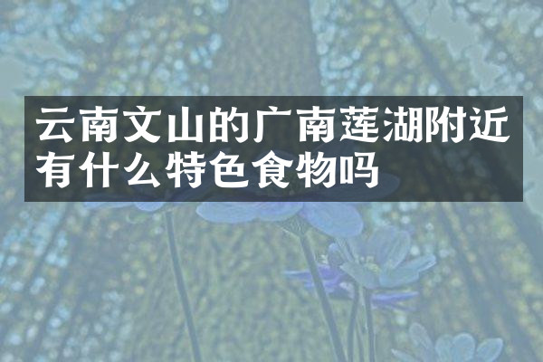 云南文山的广南莲湖附近有什么特色食物吗