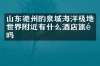 山东德州的泉城海洋极地世界附近有什么酒店旅馆吗