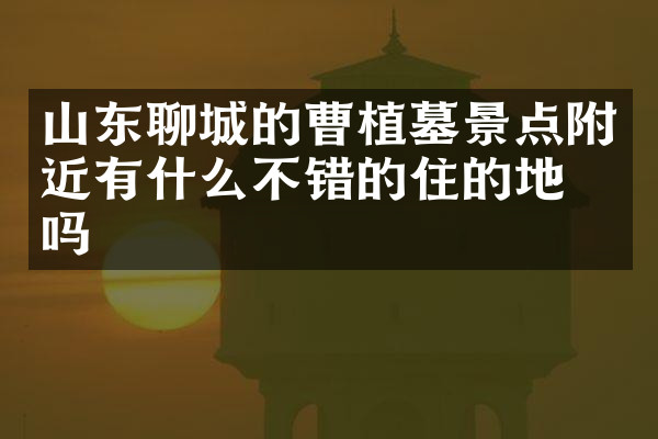 山东聊城的曹植墓景点附近有什么不错的住的地方吗
