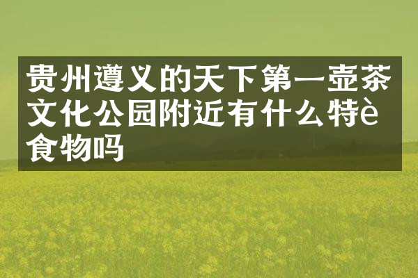 贵州遵义的天下第一壶茶文化公园附近有什么特色食物吗