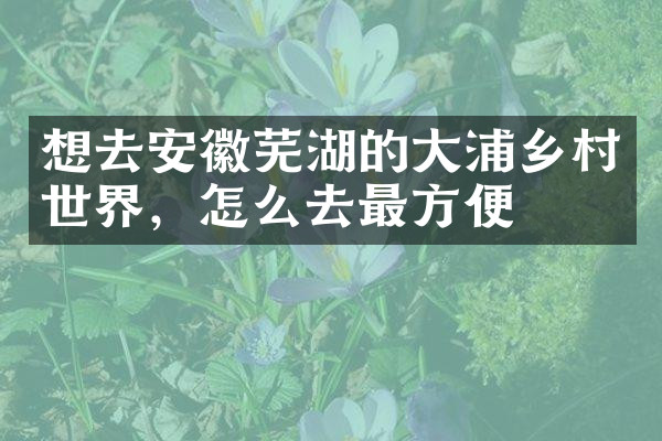 想去安徽芜湖的大浦乡村世界，怎么去最方便