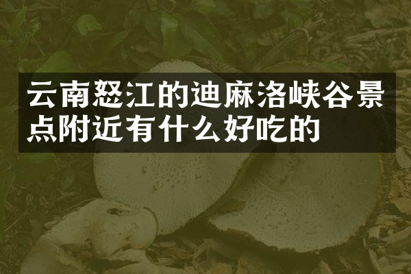 云南怒江的迪麻洛峡谷景点附近有什么好吃的