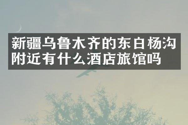 新疆乌鲁木齐的东白杨沟附近有什么酒店旅馆吗
