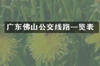 广东佛山公交线路一览表