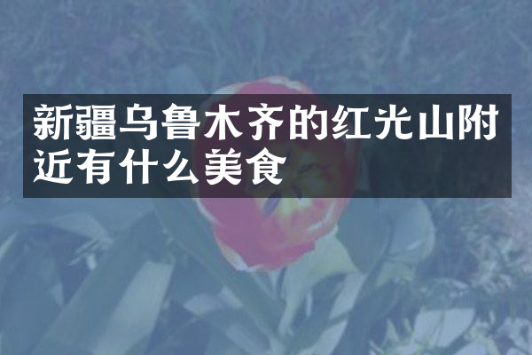 新疆乌鲁木齐的红光山附近有什么美食
