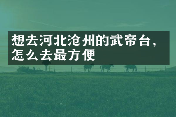 想去河北沧州的武帝台，怎么去最方便