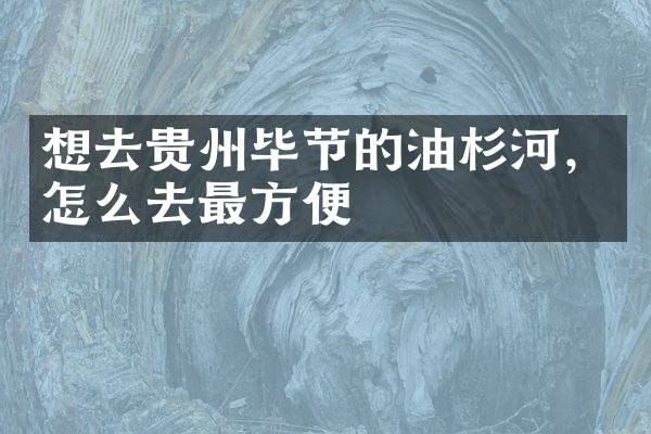 想去贵州毕节的油杉河，怎么去最方便