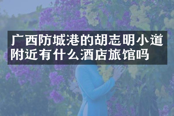 广西防城港的胡志明小道附近有什么酒店旅馆吗