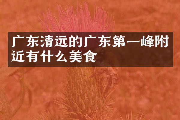 广东清远的广东第一峰附近有什么美食