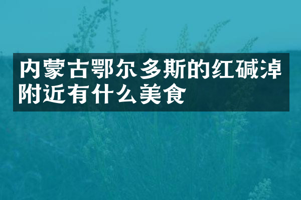 内蒙古鄂尔多斯的红碱淖附近有什么美食