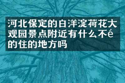 河北保定的白洋淀荷花大观园景点附近有什么不错的住的地方吗