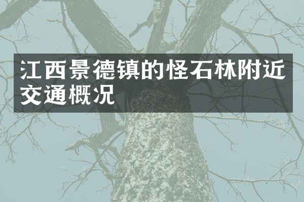 江西景德镇的怪石林附近交通概况