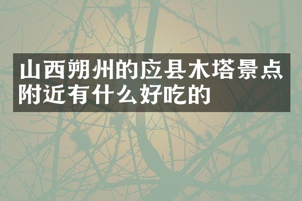 山西朔州的应县木塔景点附近有什么好吃的