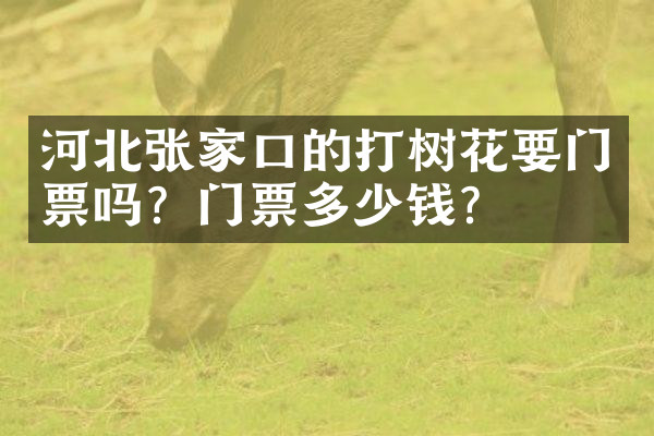河北张家口的打树花要门票吗？门票多少钱？