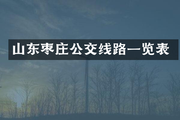 山东枣庄公交线路一览表