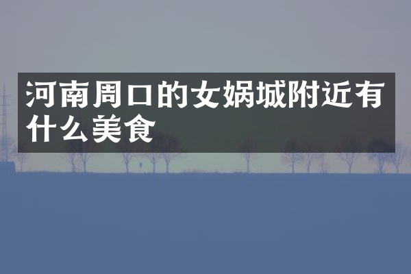 河南周口的女娲城附近有什么美食