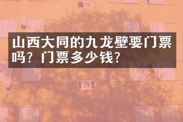 山西大同的九龙壁要门票吗？门票多少钱？