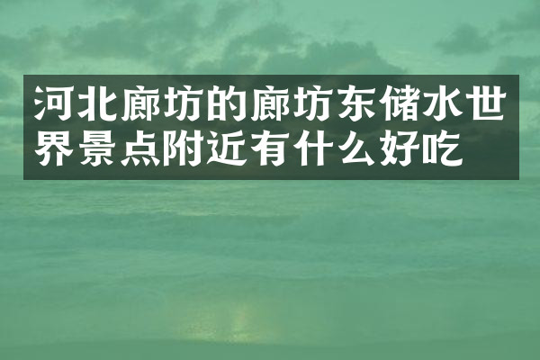 河北廊坊的廊坊东储水世界景点附近有什么好吃的