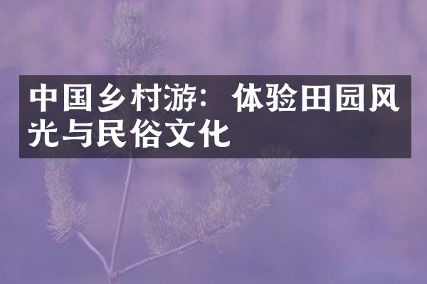 中国乡村游：体验田园风光与民俗文化