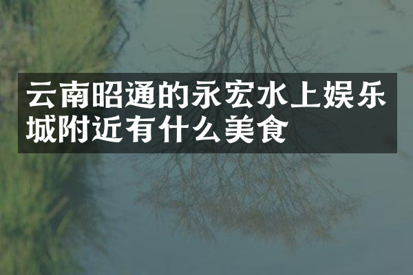 云南昭通的永宏水上娱乐城附近有什么美食