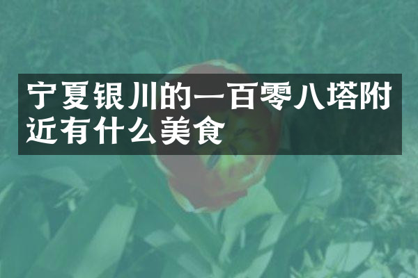 宁夏银川的一百零八塔附近有什么美食