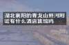 湖北襄阳的青龙山熊河附近有什么酒店旅馆吗