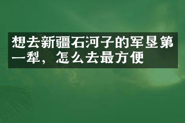 想去新疆石河子的军垦第一犁，怎么去最方便
