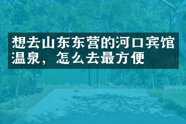想去山东东营的河口宾馆温泉，怎么去最方便
