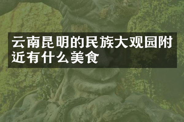 云南昆明的民族大观园附近有什么美食