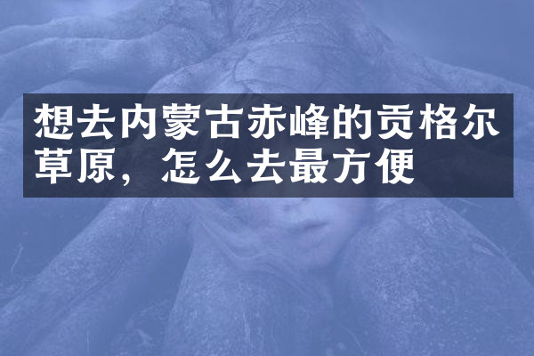 想去内蒙古赤峰的贡格尔草原，怎么去最方便