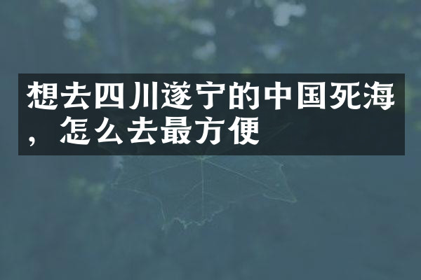 想去四川遂宁的中国死海，怎么去最方便