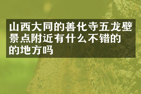 山西大同的善化寺五龙壁景点附近有什么不错的住的地方吗