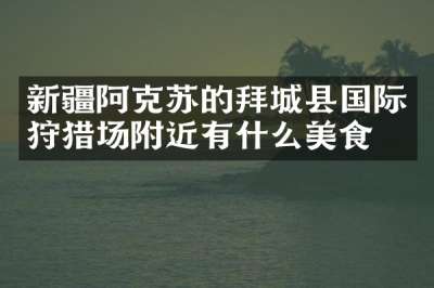 新疆阿克苏的拜城县国际狩猎场附近有什么美食