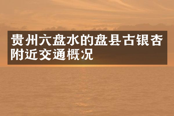 贵州六盘水的盘县古银杏附近交通概况