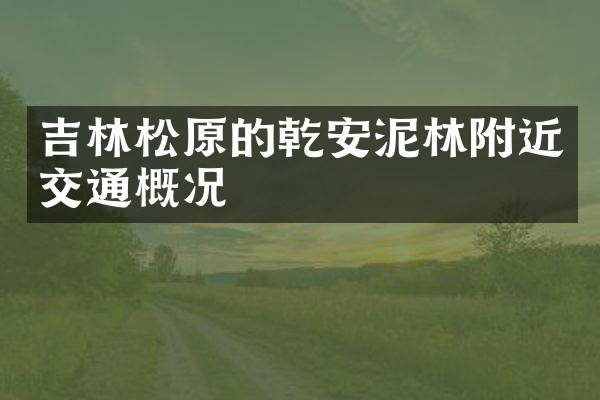 吉林松原的乾安泥林附近交通概况