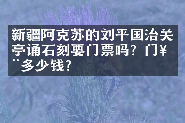 新疆阿克苏的刘平国治关亭诵石刻要门票吗？门票多少钱？