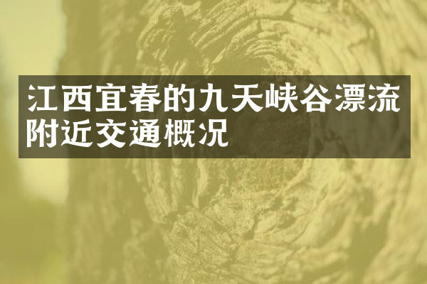江西宜春的九天峡谷漂流附近交通概况